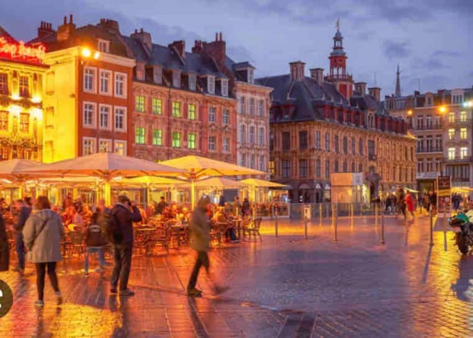 Appartement F3 & Solferino Lille Eksteriør bilde