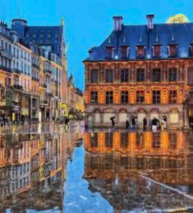 Appartement F3 & Solferino Lille Eksteriør bilde